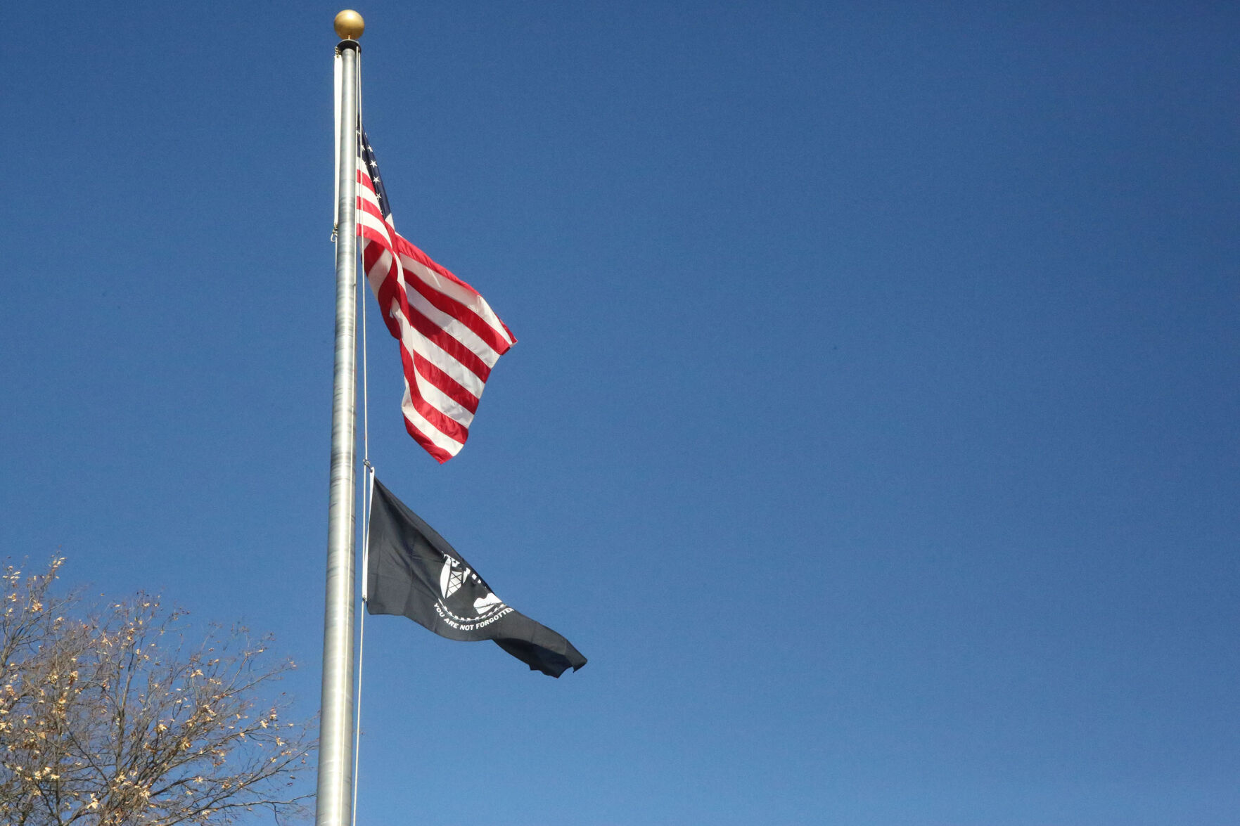 20201118_sap_ralstonvets2